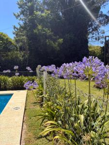 a garden with purple flowers next to a swimming pool at Cabañas Aires del Sur, con gran parque y pileta in Chascomús