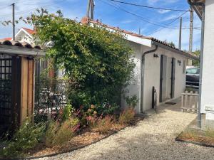 a large bush on the side of a house at Beau studio calme, indépendant avec terrasse in Pessac