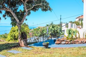 a tree in the yard of a house at Casa da Vila Apartments in Arco da Calheta