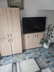 a flat screen tv sitting on top of a entertainment center at Ubytování Rumberk 2 in Deštná