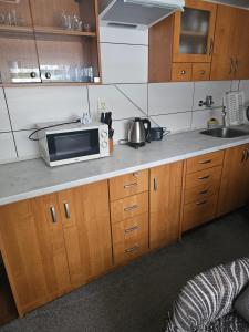 a kitchen with a microwave on a counter at Ubytování Rumberk 2 in Deštná