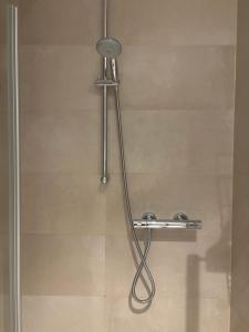 a shower in a bathroom with a shower head at Trafford Sky Homes Leipzig City - 5 Min to Hauptbahnhof Nikolaistrasse in Leipzig +49 photos