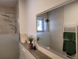 a bathroom with a shower and a mirror at Ferienwohnung Obstgarten in Halblech +25 photos