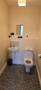 a bathroom with a toilet and a sink at Beautiful City Centre House with Parking! Sleeps 6 in Sheffield