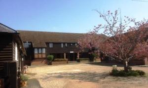 a house with a tree in front of it at Millbrook House Apartments 4 in Milton +6 photos