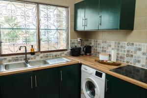 a kitchen with green cabinets and a washing machine at T3 Elegance x Nawassi Moderne, climatisé, sécure in Pamandzi +21 photos