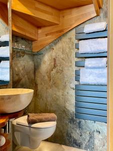 a bathroom with a toilet and a sink at Suites du Cabinet Vert in Orléans