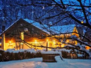 a house covered in snow at night at Artizan Chalet in Topliţa