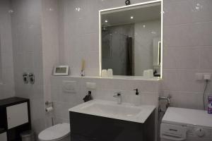 a bathroom with a sink and a toilet and a mirror at Exklusive Wohnung mit Garten in Niederdorla +5 photos