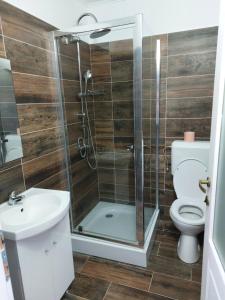 a bathroom with a shower and a toilet and a sink at Sári Vendégház in Remetea +28 photos
