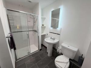 a bathroom with a shower and a toilet and a sink at Millbrook House Apartments 2 in Milton