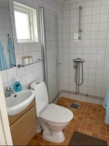 a bathroom with a toilet and a sink and a shower at Stendala Gård in Gärsnäs