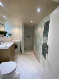 a bathroom with a shower and a toilet and a sink at studio confort seine port in Seine-Port