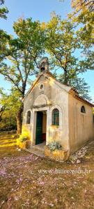 an old building with a green door in a field at Apartman Cvita in Bilice