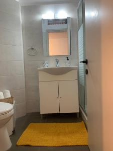 a bathroom with a sink and a mirror and a toilet at Athina Central Corfu Town Apartment in Ágios Rókkos +7 photos