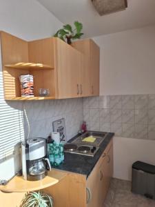 a kitchen with wooden cabinets and a counter top at Apartment - Gästewohnung - Unterkunft Monteure in Chemnitz