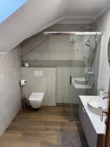 a bathroom with a shower and a toilet and a sink at Pensione Ristorante Moretti in Nitra
