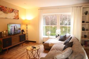 a living room with a couch and a window at Cuilcagh Luxury Studio in Enniskillen