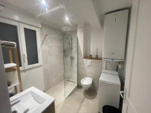 a bathroom with a shower and a toilet and a sink at Parenthèse au Gué des Archers maison climatisée in Saint-Valérien +11 photos