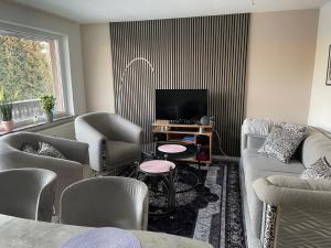 a living room with a couch and chairs and a tv at Großes Juwel-Monteurzimmer-Privatzimmer in Wetzlar