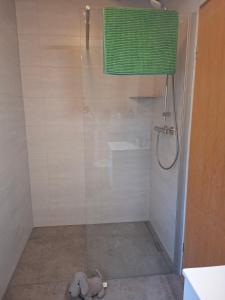 a shower with a glass door in a bathroom at Haus am Ponyhof in Aurich