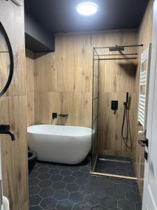 a bathroom with a bath tub and a shower at Apartament 2 camere Fial in Bacău