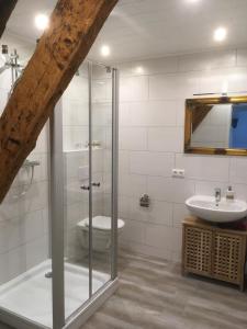 a bathroom with a glass shower and a sink at Bauernhof-Steffens in Tating +67 photos