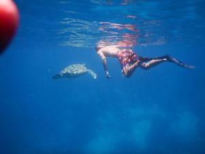 a person swimming in the water with a turtle at Raja Ampat Holidays in Besir