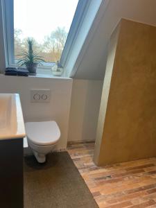 a bathroom with a toilet sitting next to a window at Stay by pramskoven in Køge +50 photos