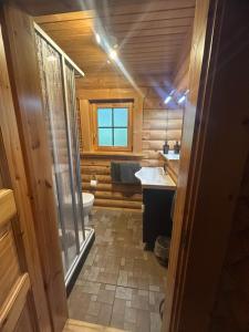 a small bathroom with a toilet and a sink at Montara Suites Bodenmais I aktivCARD Bayerischer Wald inklusive in Bodenmais +112 photos