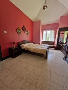 a bedroom with red walls and a bed and a television at Narmada Holiday Home in Ooty
