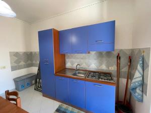 a blue kitchen with a sink and blue cabinets at Sweet Summer House in Campofelice di Roccella