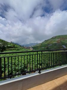 a balcony with a view of a mountain at Carika Cabin in Diyeng