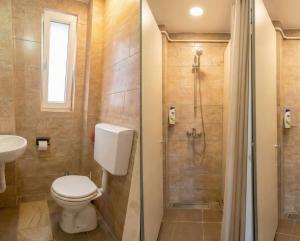 a bathroom with a toilet and a shower at BGD Downtown Hostel in Belgrade