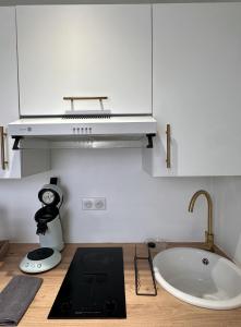 a kitchen with a counter with a sink and a microwave at Studio 1 des Remparts à 5 mins de Charleville-Mézières in Warcq