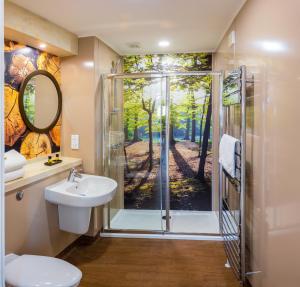 a bathroom with a shower and a toilet and a sink at Ockeridge Rural Retreats in Worcester +100 photos