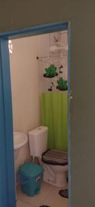 a bathroom with a toilet and a green shower curtain at Casas oliveira in Paraty +12 photos