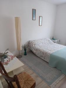 a bedroom with a bed and a table and a chair at Soul in Bela Crkva