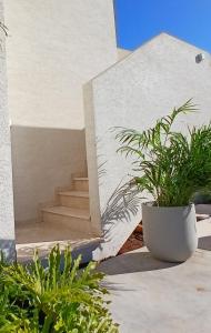 a white building with stairs and a potted plant at נוף לחרמון דפנה in Dafna +10 photos