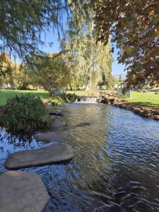 a pond in a park with rocks in the water at נוף לחרמון דפנה in Dafna