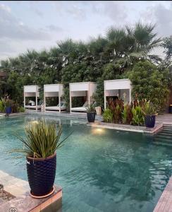 a large swimming pool with plants and trees at دانة الرياض للشقق المخدومة2 - Dana Serviced Apartments2 in Riyadh