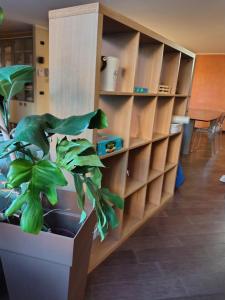a book shelf with a potted plant in a room at Appartamento Sleep&Fly in Grassobbio