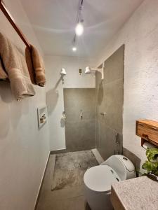a bathroom with a toilet and a shower at casa nova in Cruz