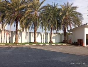 a group of palm trees in front of a building at Seberang Jaya Family Pool Homestay Near Hospital 3 Bedroom Aircond 2 Bathroom & Family Room Aircond in Perai