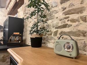 a green radio sitting on a counter with a plant at La Pierre du Bonheur in Saint-Denis-dʼAnjou
