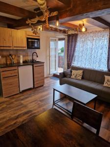 a living room with a couch and a table at Alex Meißner App 2 in Großalmerode