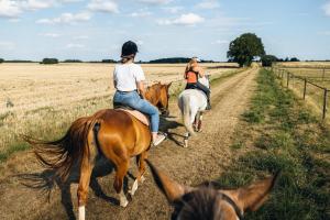 two people riding horses down a dirt road at La chevauchée vers les étoiles in Yèvres