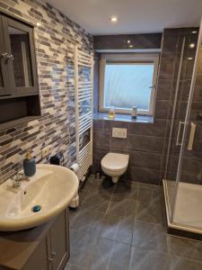 a bathroom with a sink and a toilet and a shower at Alex Meißner App 2 in Großalmerode +15 photos