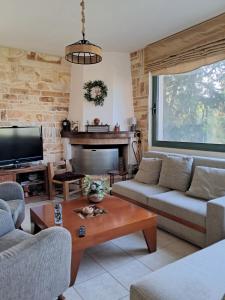 a living room with two couches and a fireplace at Aylida House in Paralía Avlídhos