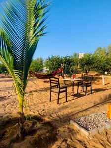 a hammock and a table and chairs on a beach at Lompoul Nature in Tioukougne Peul +24 photos